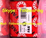 Heavy Load 824124E Mixer Truck Bearings Double Row Nylon Cage