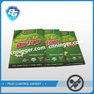 China Mouse glue pad,mouse glue board supplier,mouse glue trap factory manufacturer on sale