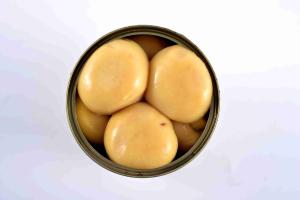 China Healthy Whole Canned Mushrooms Agaricus Bisporus Type Natural Raw Material wholesale