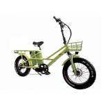 48V Electric Dual Motor 1000 Watt Long Range Fat Tire Cargo E-Bike with Fast
