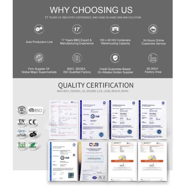 Outdoor Household Portable Backyard Park Camping Cooking Stainless Steel Gas Bbq Grills