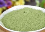 Manufacturer Pure Spinach Powder Natural Dehydrated Spinach Powder