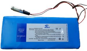China 25.6V LiFePO4 Electric Vehicle Battery Pack 9000mAh, 230Wh wholesale