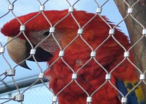 China stainless steel aviary mesh on sale