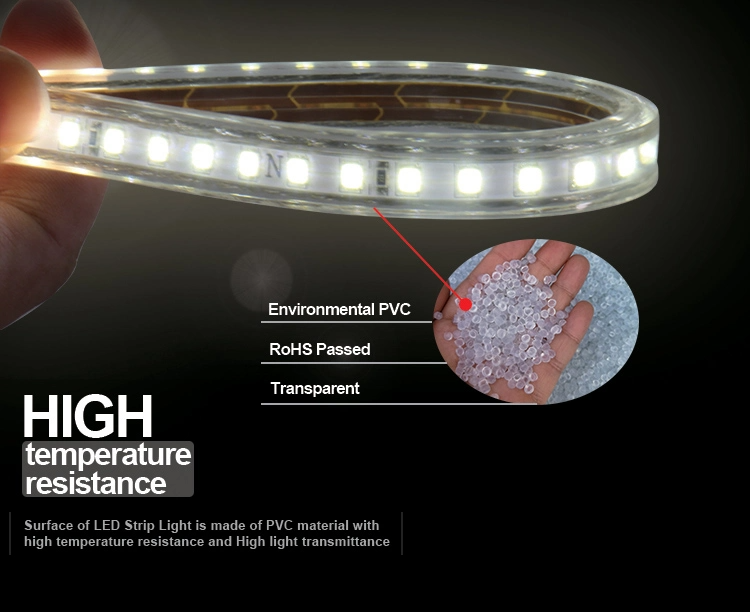120 LEDs Flexible Tape Lamp with IC Home Lighting 110v/220V 2835 LED Strip Light Waterproof IP65