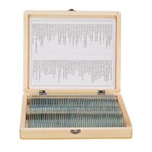 China Biology Glass Prepared Specimen Slides 100PCS For Science Basic Animal Plants Insects wholesale