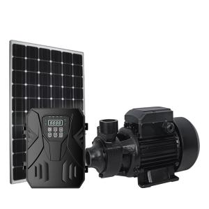 China Deep Well Stainless Steel Solar Surface Water Pump For Water Removal Lawn Garden wholesale