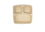 biodegradable disposable paper pulp takeaway food container lunch box