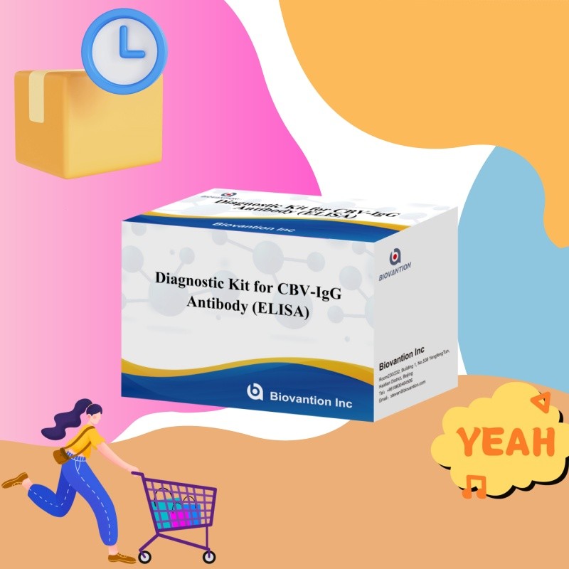 Sensitivity Diagnostic Kit for CBV-IgG Antibody human detect Elisa Kits for Precise Sample Type Detection
