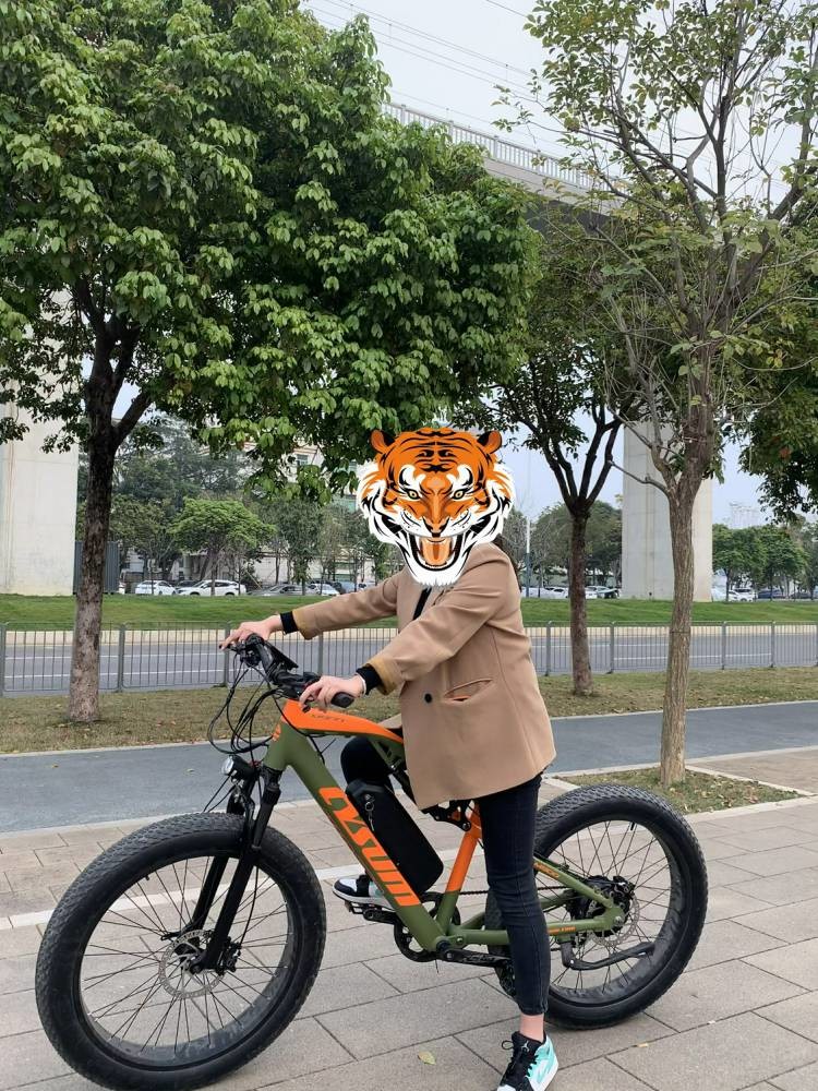 27.5" Full Suspension 1000w Ebike 48v 17Ah Hydraulic Disc Brake