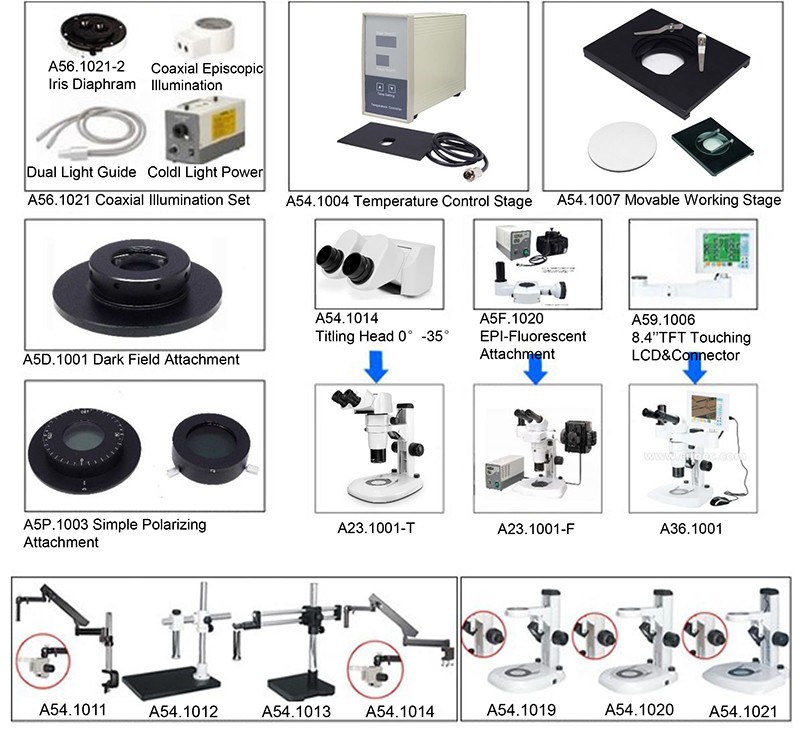A23.1001-F Flourescent Stereoscopic Zoom Microscope Wf15x