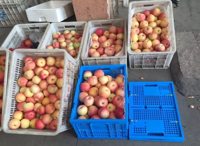 600*400*270 plastic crates for storage vegetables sale