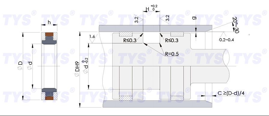 hydraulic cylinder seals