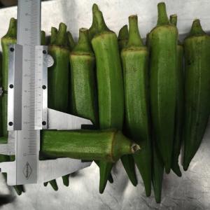 China 200g×5 FDA Certified IQF Frozen Okra IQF Frozen Food For Supermarkets wholesale