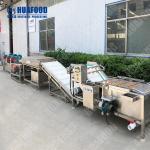 Hot selling Professional Fruit Lemon Ozone Washing Machine by Huafood