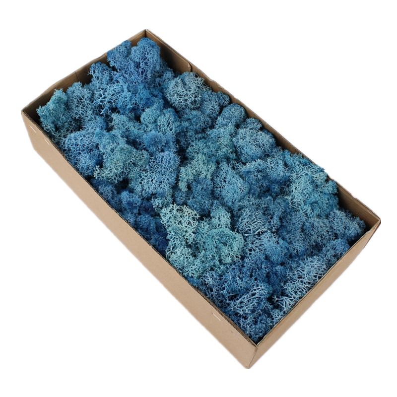 Luxury Home Preserved Natural Moss For All Year Occasions Decoration