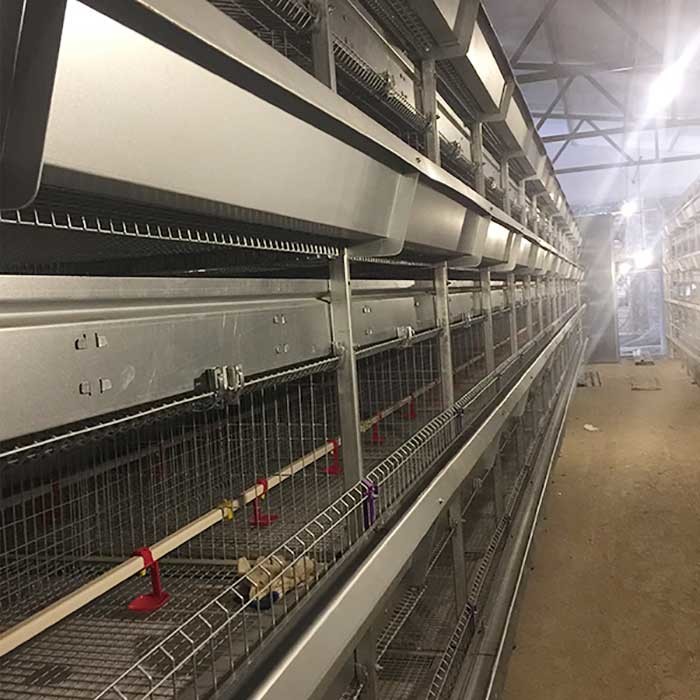 Waterproof 380V Brooding Cages For Chicks , U Shape Steel Small Poultry Cages