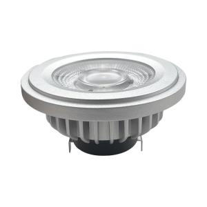 China Teco Spot Rifle Gray G53 AR111 LED Bulbs 2700K 24 Degree Ra90 1400Lm Very Warm White Dimmable wholesale