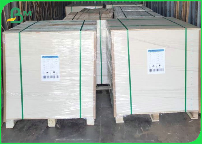Food Grade 250gsm 300gsm White Top Kraft Back Paper Printable Food Packaging