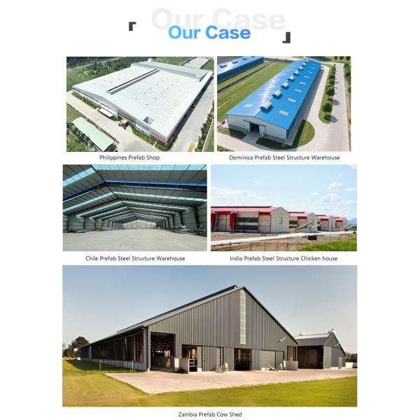 EU Standard Modern Design Galvanized Prefab Steel Farm Chicken House Building