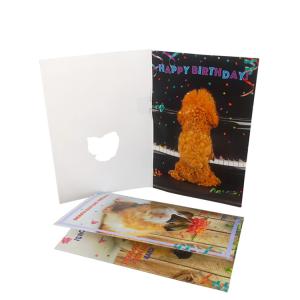 China Portable Commercial Musical Greeting Cards Built In Push Button wholesale