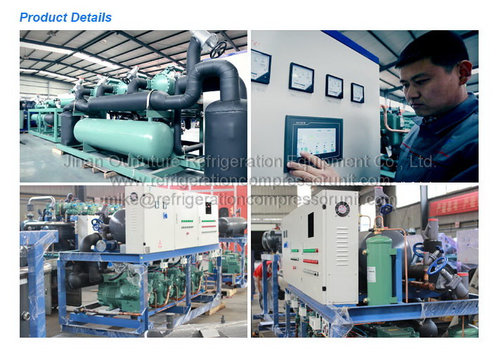 15hp R404a Brand Reciprocating Compressors CDU Unit 380V/3P/50Hz