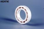 Full Ceramic deep groove ball Bearings 6900 10*22*6mm High Temperature Corrosion