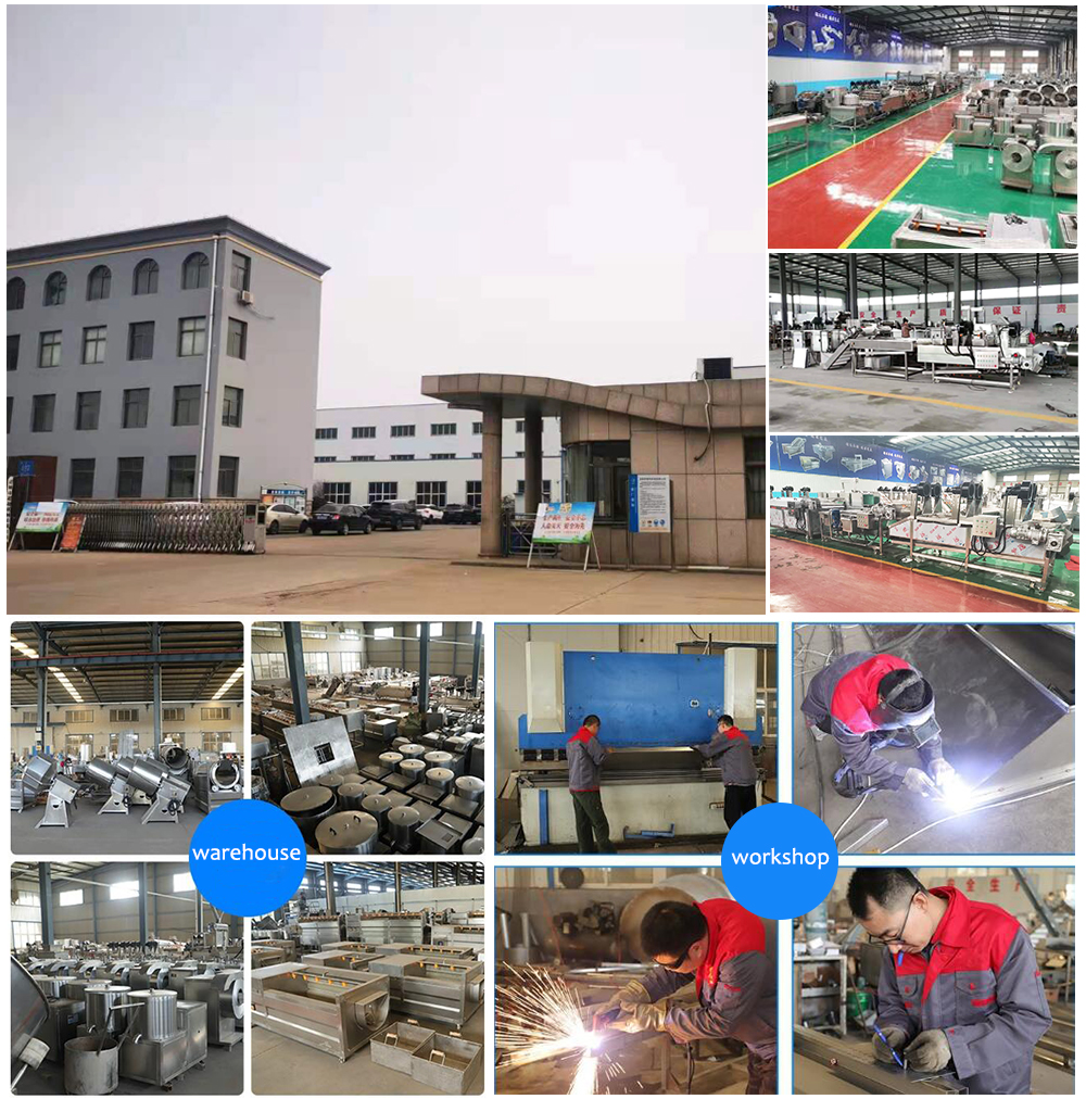 Factory price small peanut oil press machine/sunflower almond oil making machine/palm coconut oil maker extractor machine