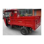250cc Petrol Engine Motorized Three Wheel Motorcycle for Adult Cargo Transportat