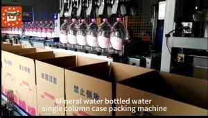China Mineral Water Bottle Case Packer Packaging Machine Single Column wholesale