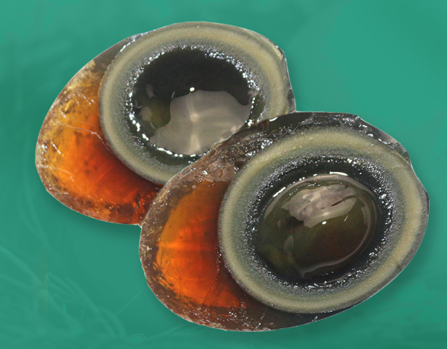 Shandong Address Preserved Duck Egg Century Egg with Normal Ingredients