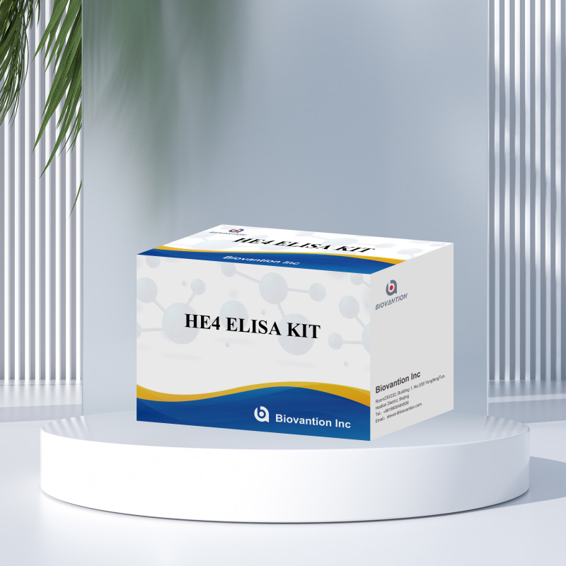 Medical Diagnostics Sensitive And Reliable ELISA Assay Kit For HE4 ELISA KITS