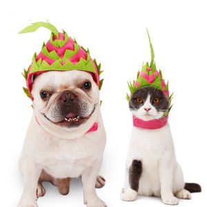 China Headset Fire Dragon Fruit Shape Pet Headdress For Christmas wholesale