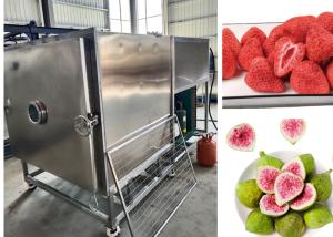 China 300kg/Batch Large Food Vacuum Freeze Dryer PLC Controlled wholesale