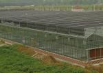 Polycarbonate Plastic Film Multi Span Agricultural Greenhouse