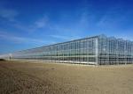 Sightseeing Venlo Glass Greenhouse Custom Shaped Glass Covering Greenhouse