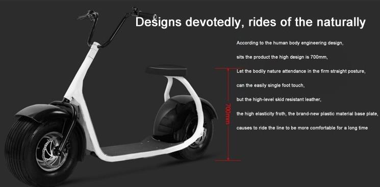 1000w 1500w 2000w Big Fat Tire Coco Harley Electric Scooter Golf EEC Approved