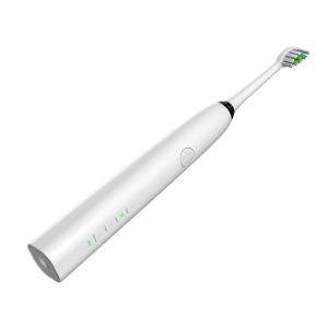 China 2000mAh Water Flosser Toothbrush IPX7 Waterproof Rechargeable For Home wholesale