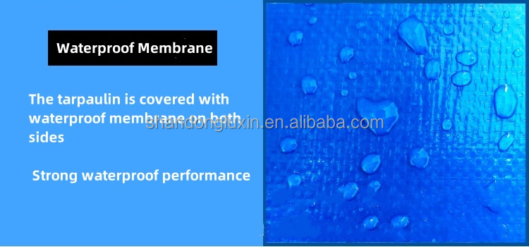 Customized Color PE Tarpaulin for Tent Waterproof Heavy Duty Rainproof Moisture-proof