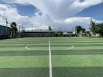 PP Leno Backing Soccer Synthetic Grass Monofilament Structure