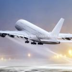 Reliable /Professional Customs Clearance Service Agent Logistics From China