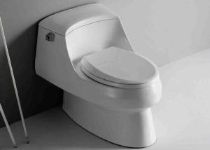 China Modern round one piece toilet 250mm 300mm single side flush wholesale