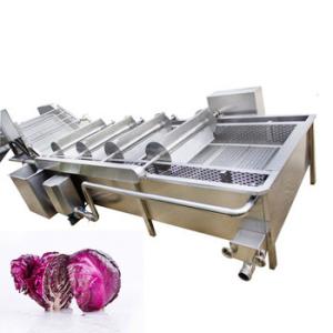 China Stainless Steel Apple Pear Mango Vegetable And Fruit Washing Machine wholesale