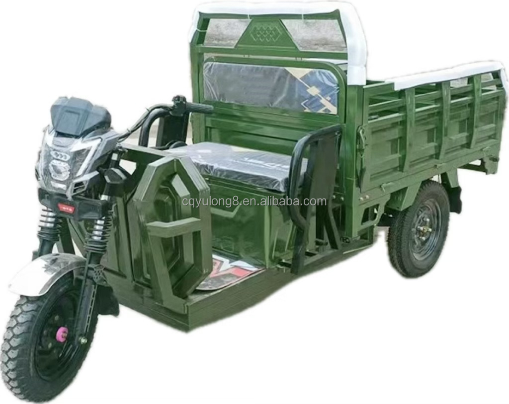 Electric Tricycle Cargo Household and Farm Three-Wheeled Truck for Express Delivery