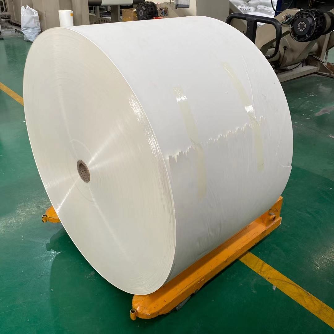 Waterproof White PE Coated Paper Roll 320gsm Kraft For Bowl