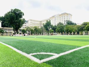 China 55mm Baseball Football Field Grass Synthetic Soccer Green Artificial Turf wholesale