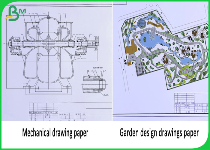 620 mm x 50m Plotter Paper For Garden Design Drawing 20lb Thickness 