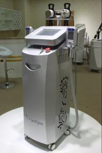 China Best cryolipolysis for beauty salon use / cryolipolysis cool shaping machine wholesale