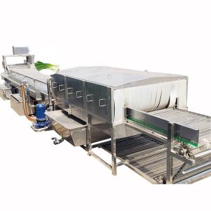 China French Fries Tomato Roller Bubble Washing Machine Vegetable And Fruit wholesale