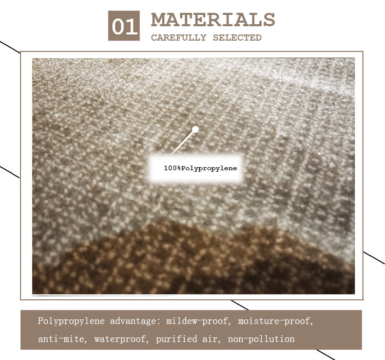 Original Nature Style Indoor Area Rug PP High Pile Height High Density